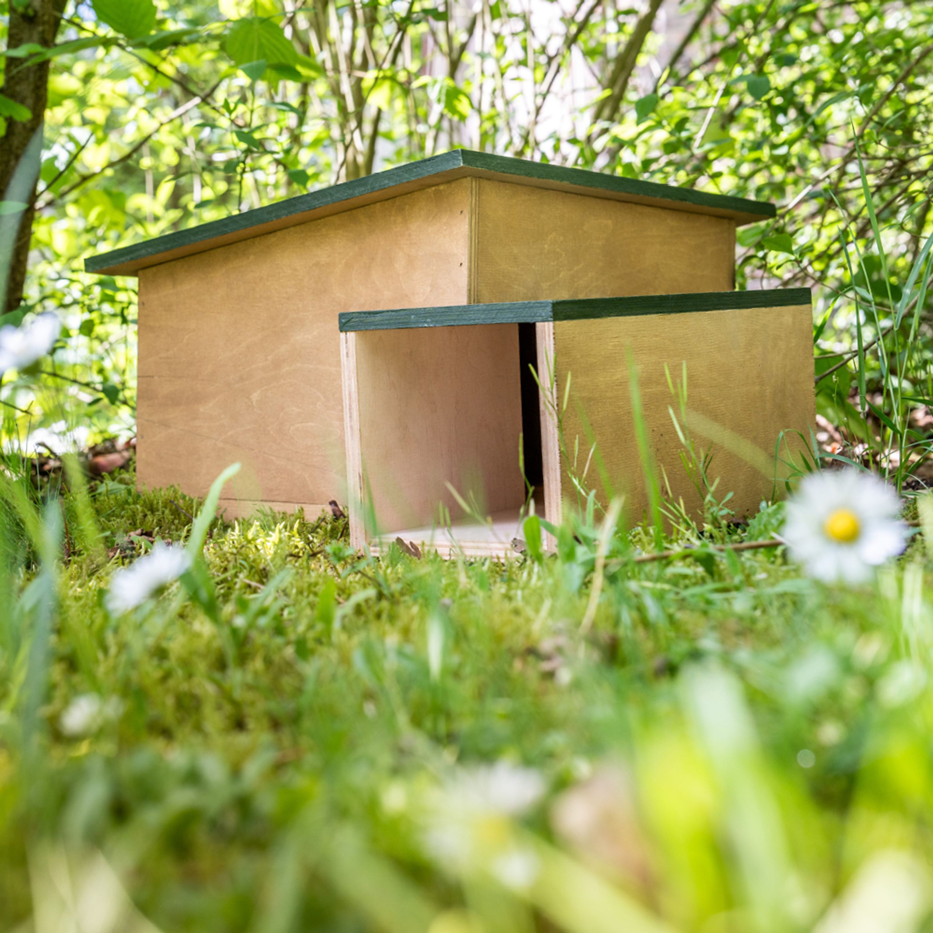 Igelschutzhaus | CJ Wildlife